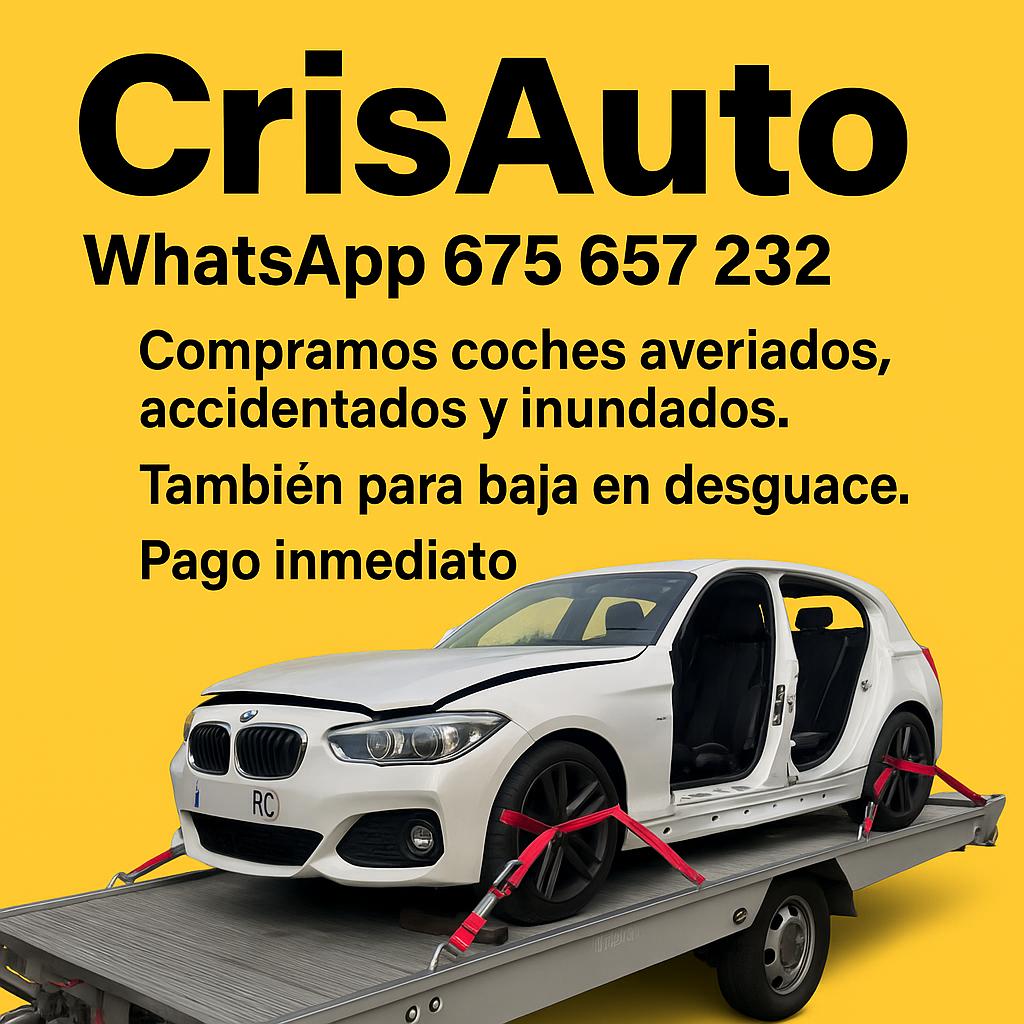 CrisAuto